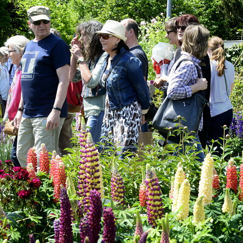 Garden Life Reutlingen 2017