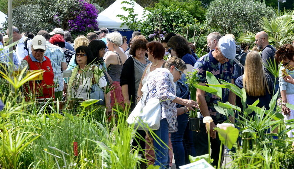 Garden Life Reutlingen 2017