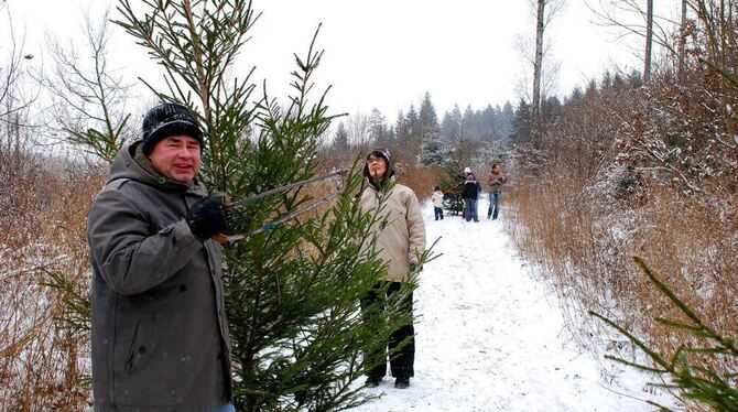Selbst ist der Säger: Viele Ofterdinger nutzten die Gelegenheit, sich mit einem ganz frischen Baum einzudecken. FOTO: EBER Selbst ist der Säger: Viele Ofterdinger nutzten die Gelegenheit, sich mit einem ganz frischen Baum einzudecken. FOTO: EBER