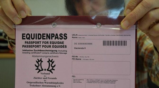 Der Equidenpass ist ein DIN A5 großes Heft, entweder grün für eingetragene Turnier- und Freizeitpferde oder rot (Zuchtverbände) und enthält Informationen über Herkunft, Besitzer und Identität des betreffenden Tieres. GEA-FOTO: BARAL Der Equidenpass ist ein DIN A5 großes Heft, entweder grün für eingetragene Turnier- und Freizeitpferde oder rot (Zuchtverbände) und enthält Informationen über Herkunft, Besitzer und Identität des betreffenden Tieres. GEA-FOTO: BARAL