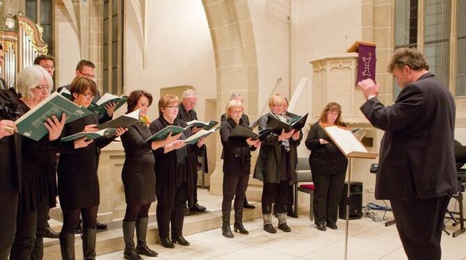 ach Erkrankungen wieder bei voller Stimmeskraft: der Kirchentellinsfurter Kammerchor »schola sine nomine«. FOTOS: SCHREIER ach Erkrankungen wieder bei voller Stimmeskraft: der Kirchentellinsfurter Kammerchor »schola sine nomine«. FOTOS: SCHREIER