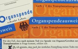 Organspendeausweise im Scheckkartenformat der Bundeszentrale für gesundheitliche Aufklärung. Foto: David Ebener