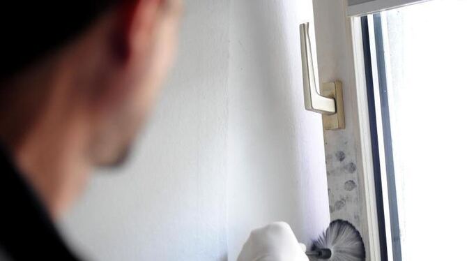 Ein Kriminaltechniker sichert Fingerabdrücke an einem Fenster. Foto: Julian Stratenschulte/Symbol