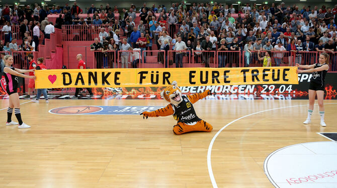 Die Walter AG steigt bei den Tigers aus.   FOTO: EIBNER