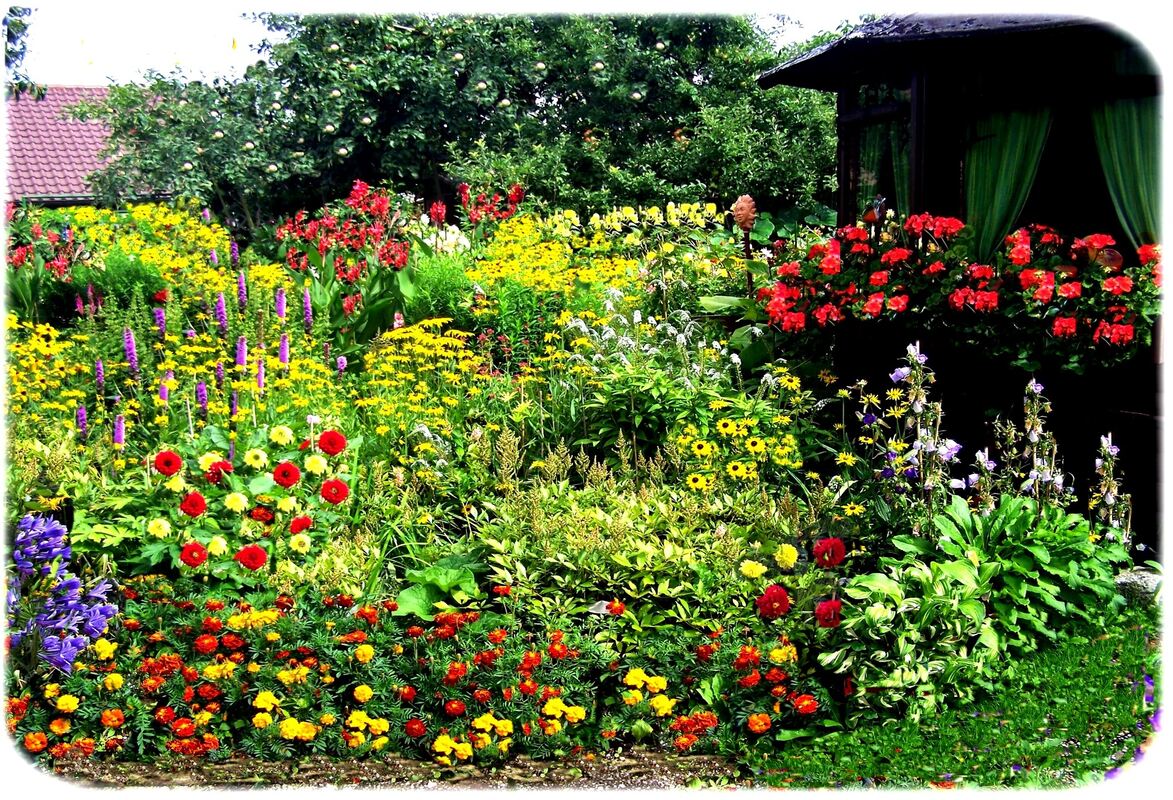 walter grau, gomaringen