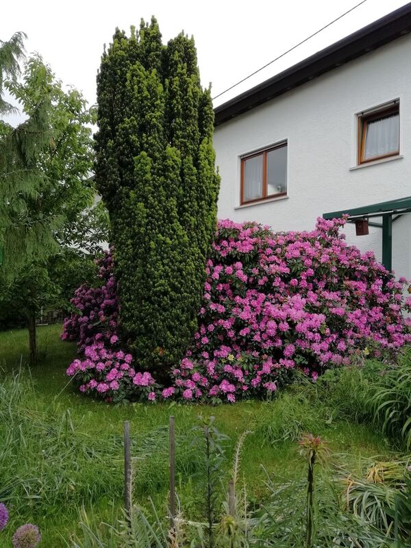 2 rolf schwarz, wannweil