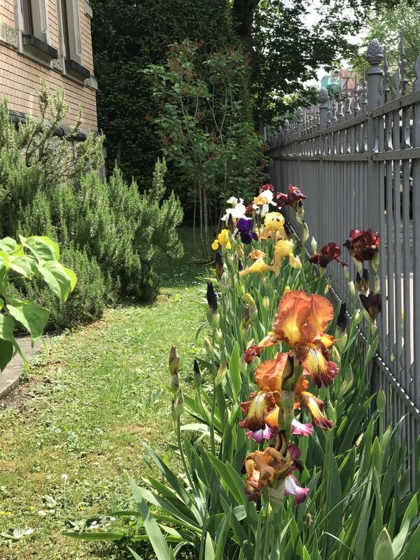 2 alexandra kohllöffel-schröder, reutlingen