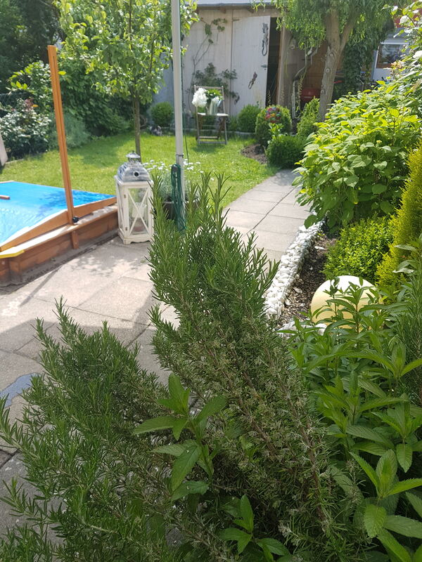 2 ann-kathrin und thomas heim, reutlingen