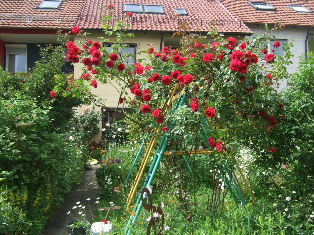 3ulrike lösch, reutlingen