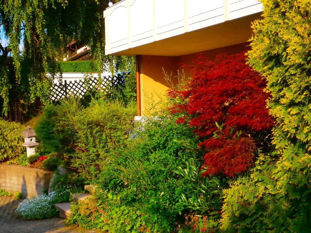 3brigitte döbereiner, dettingen (2)