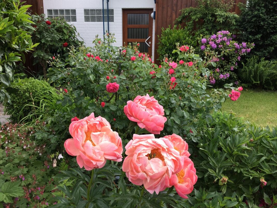 3brigitte und hermann faiß, reutlingen