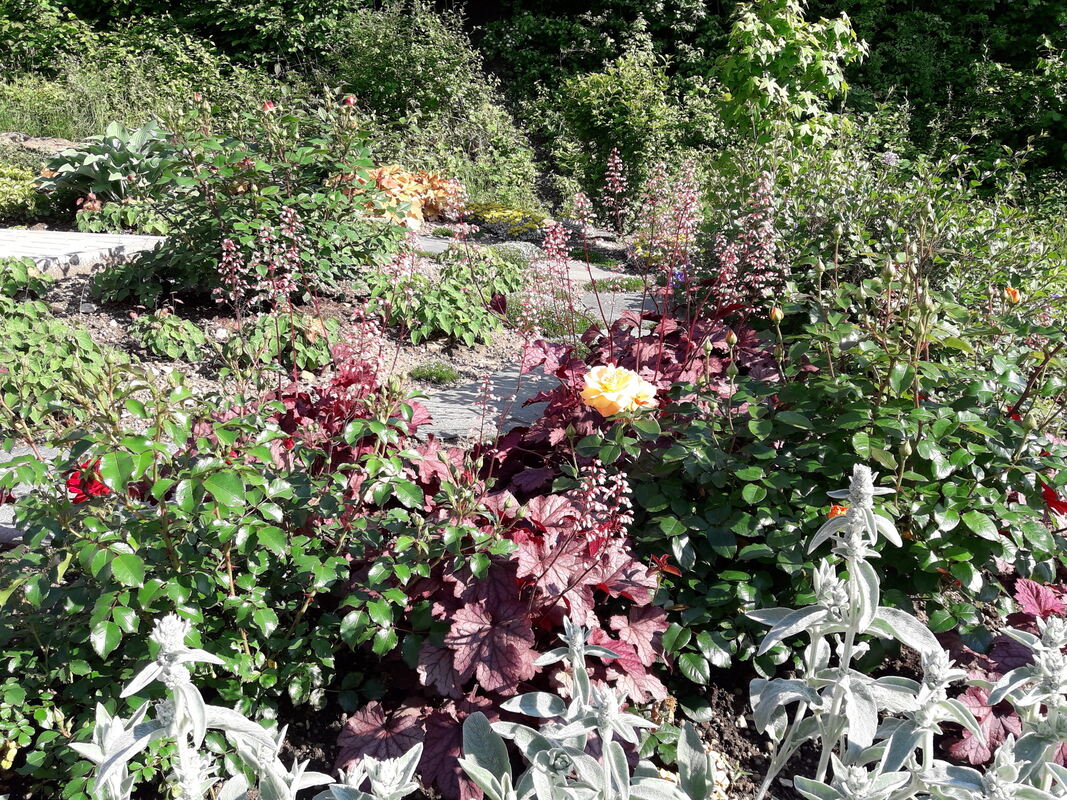 4ralf drehmann, pfullingen