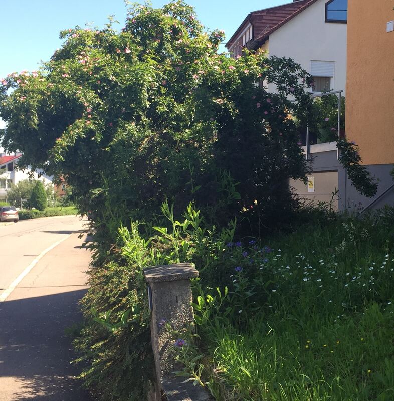 sabine winkler, pfullingen