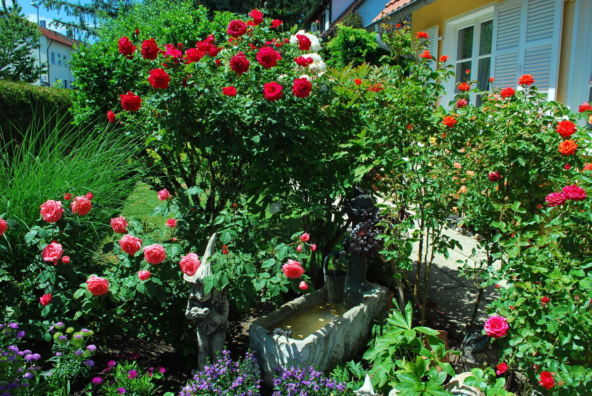 ute staneker, reutlingen