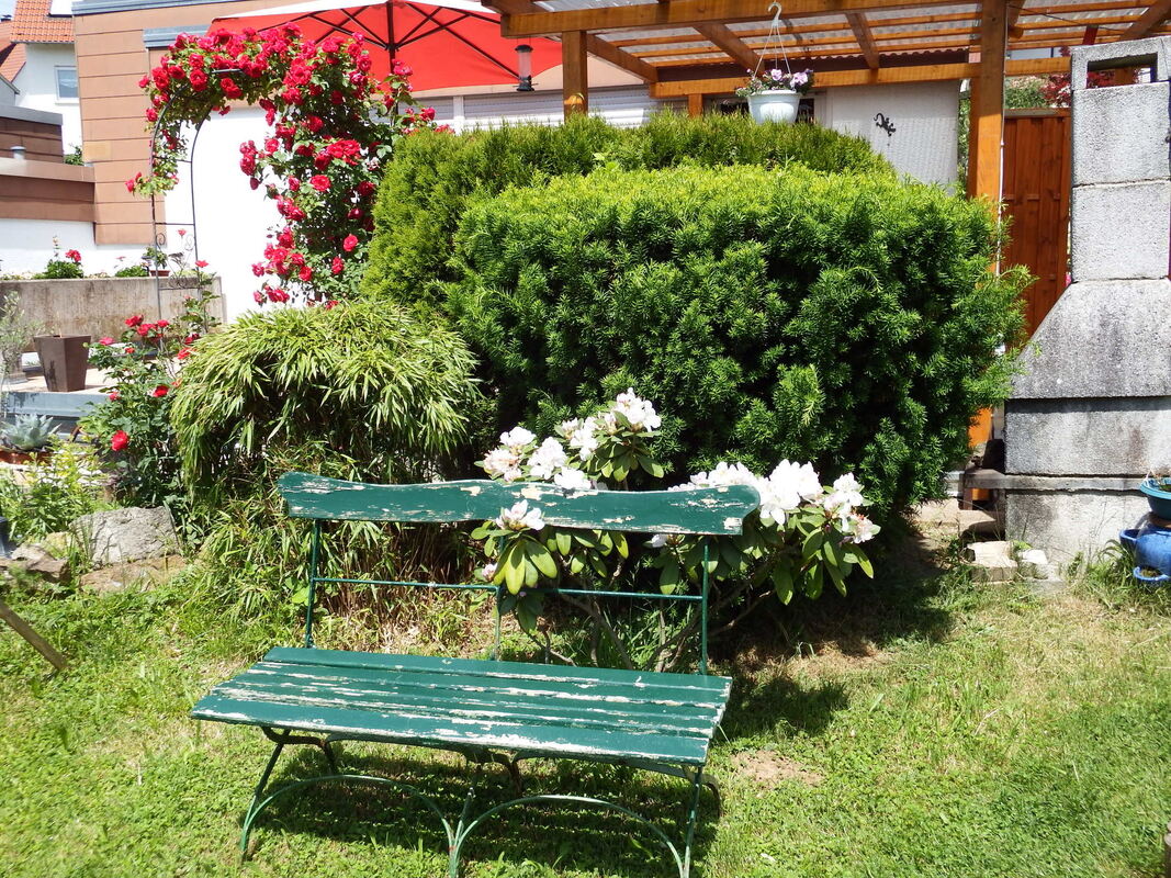 wolfgang heinkel, pliezhausen (1)