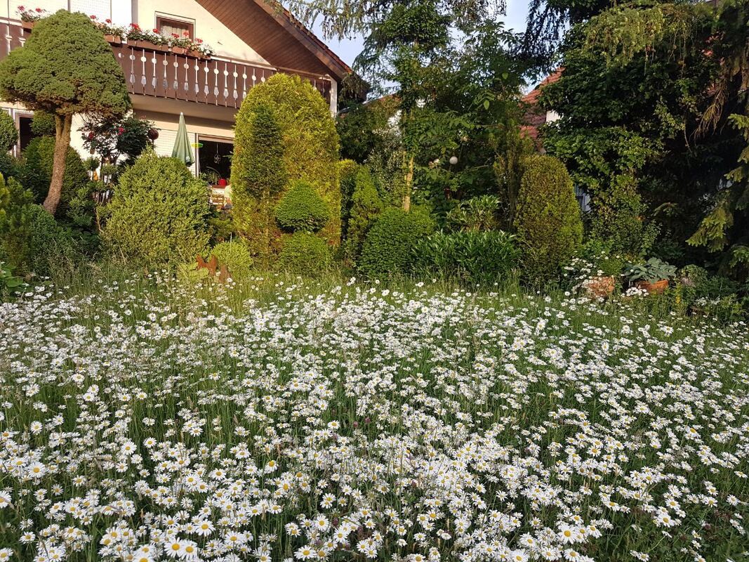 annelies bauer, reutlingen-oferdingen