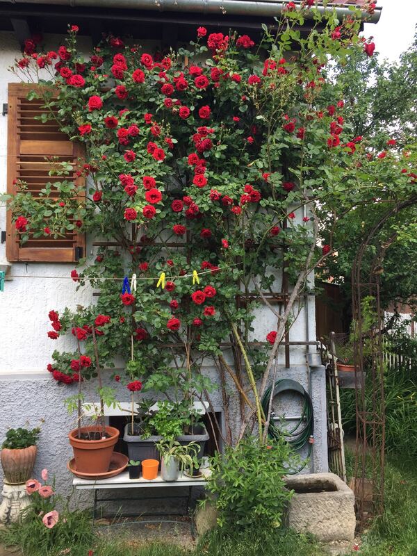 claus bauer, reutlingen