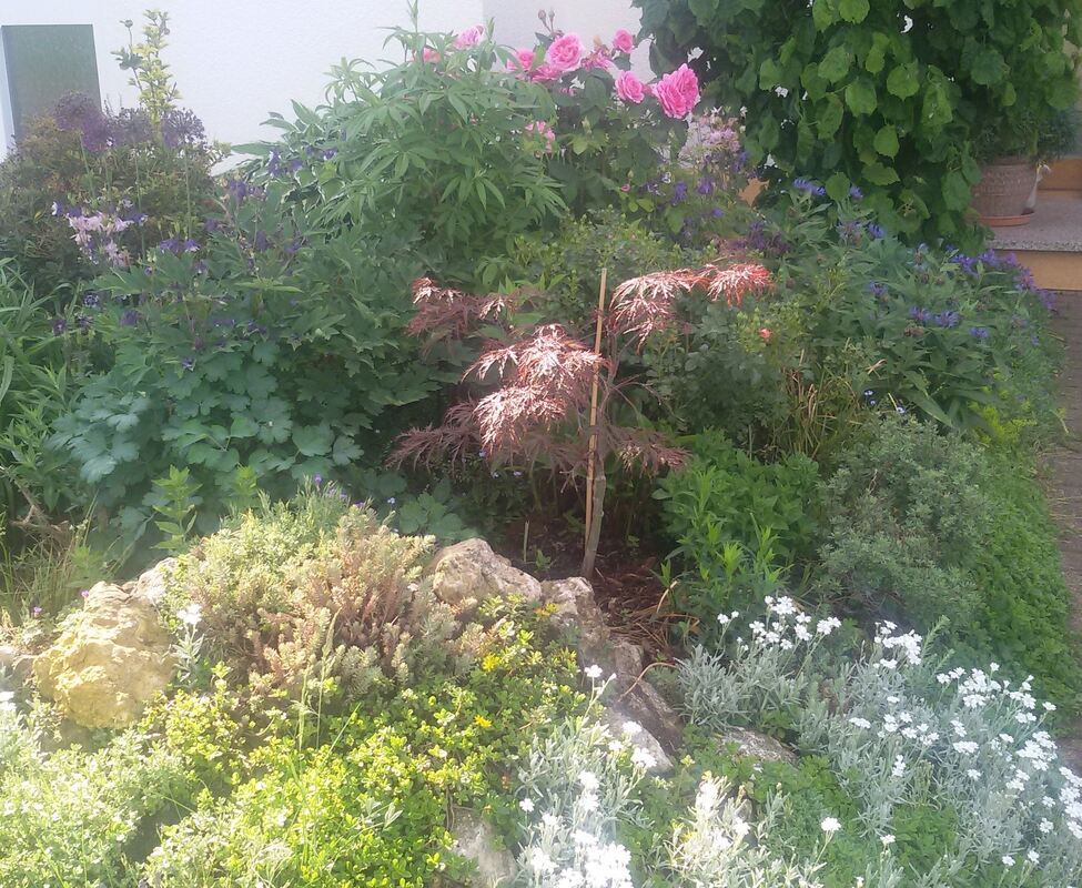 dieter kostka, reutlingen (1)