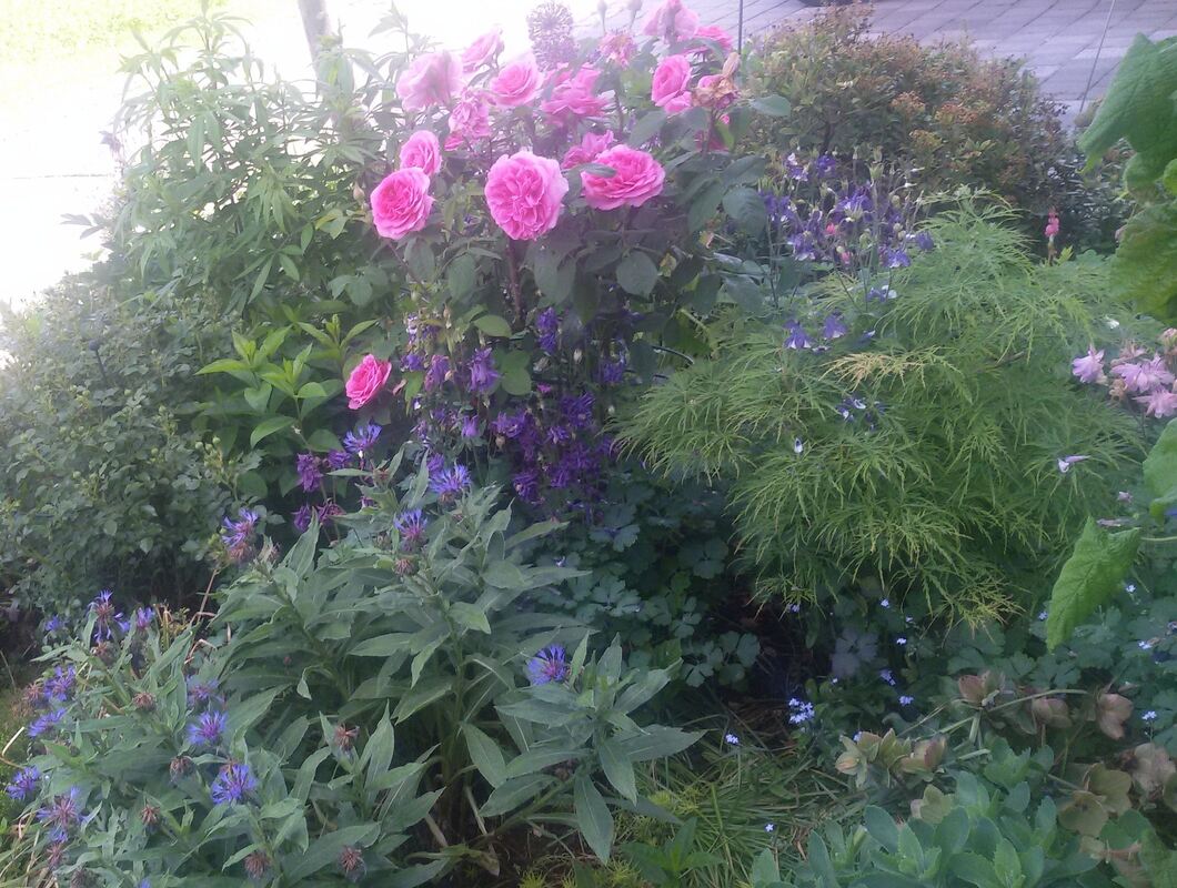 dieter kostka, reutlingen (2)