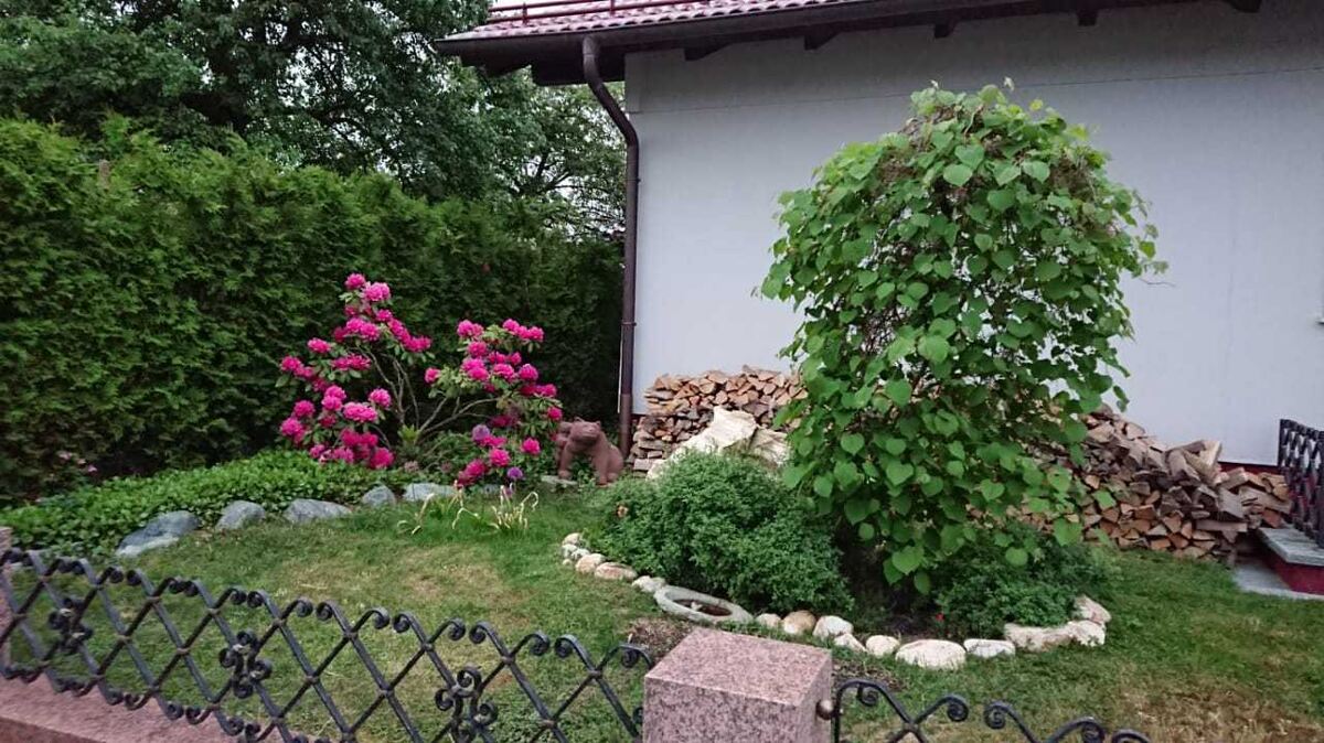 frank schmid, reutlingen