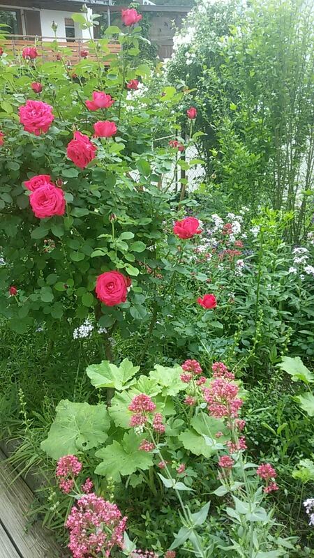 hilde müller, reutlingen