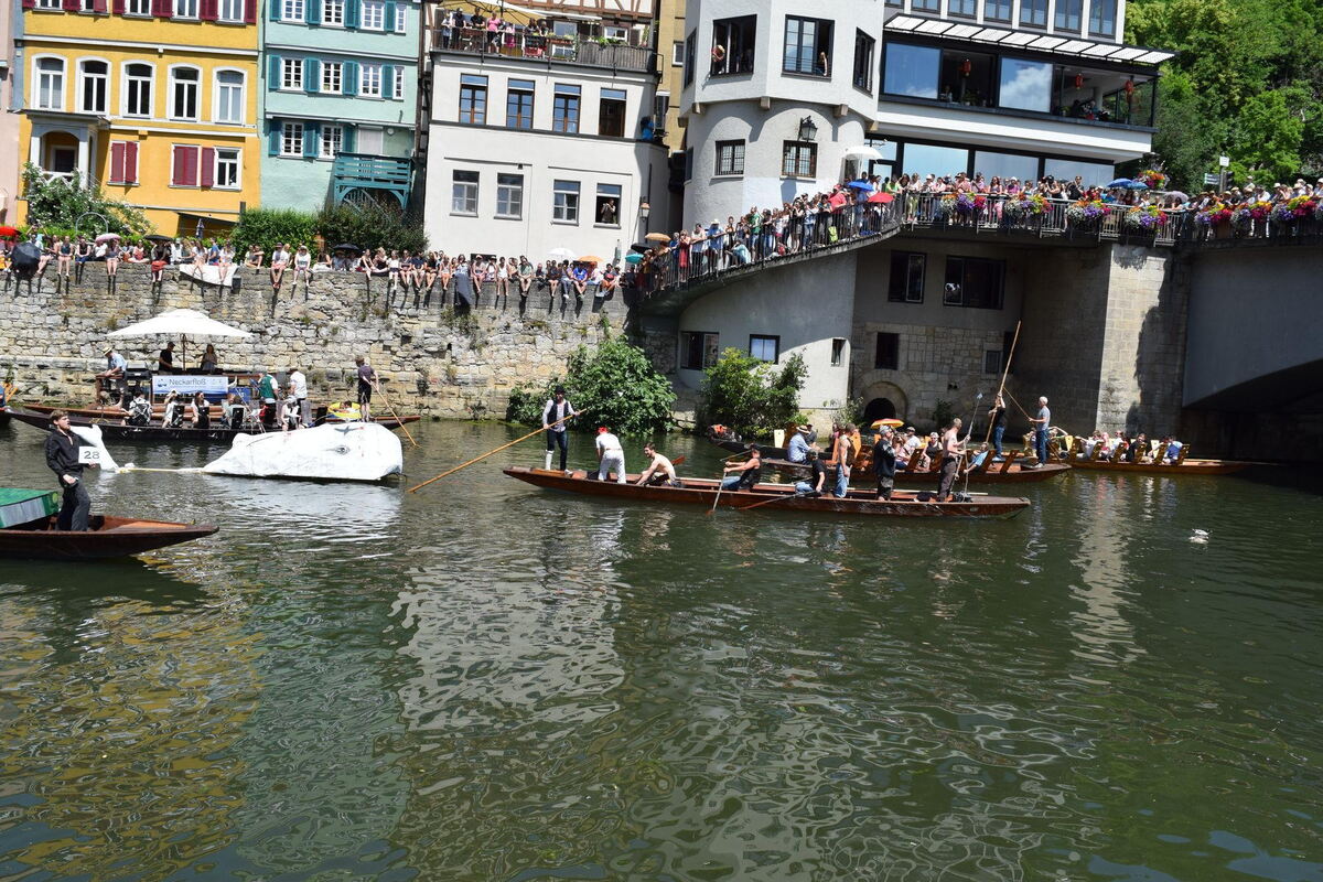 stocherkahnrennen_tuebingen_2018_8