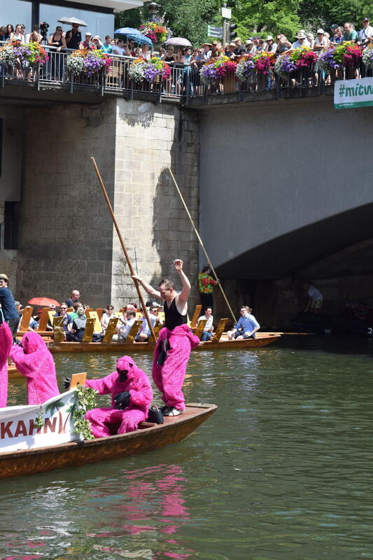 stocherkahnrennen_tuebingen_2018_12