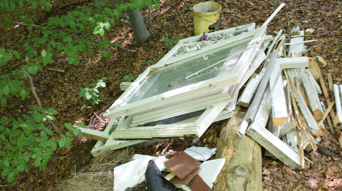 Einfach mal einen Haufen Fensterscheiben, Bauschutt und Müllsäcke im Wald entsorgt. So geschehen jüngst bei Walddorfhäslach. Die