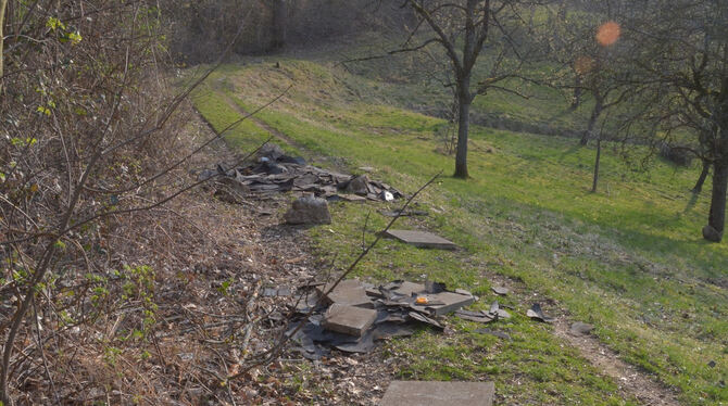 Bauschutt haben Unbekannte in Belsen illegal abgeladen.  FOTO: MEYER