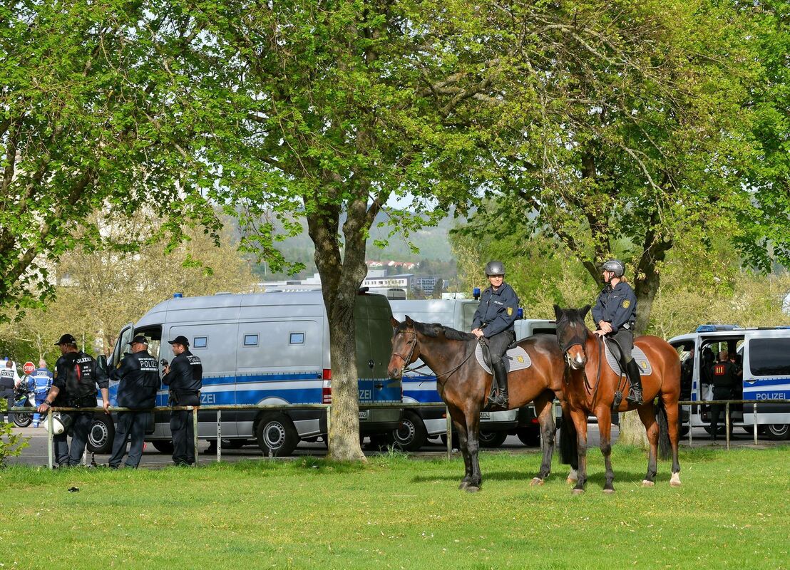 sport-2504-2ssv-niethammer