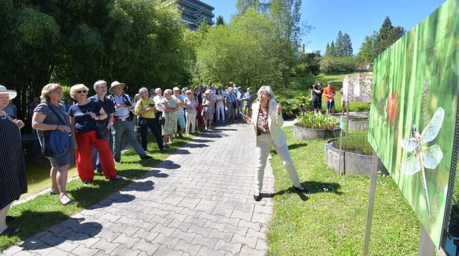 Kunst im Garten: Angela Dix führt in die Ausstellung von Anne Nisch ein FOTOS: MEYER