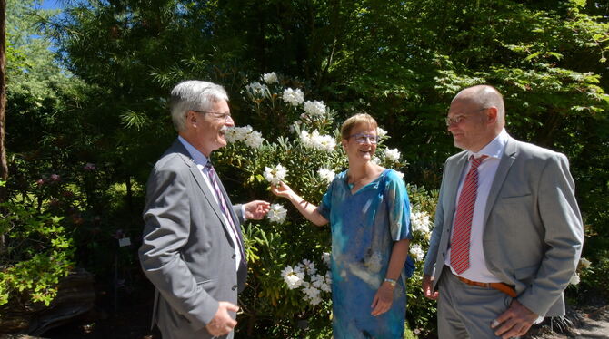 Rhododendron Yakusimanum: In Tübingen wachsen 200 Wildarten von Rhododendren und etliche Sorten. Von links: Uni-Rektor Bernd Eng Rhododendron Yakusimanum: In Tübingen wachsen 200 Wildarten von Rhododendren und etliche Sorten. Von links: Uni-Rektor Bernd Eng