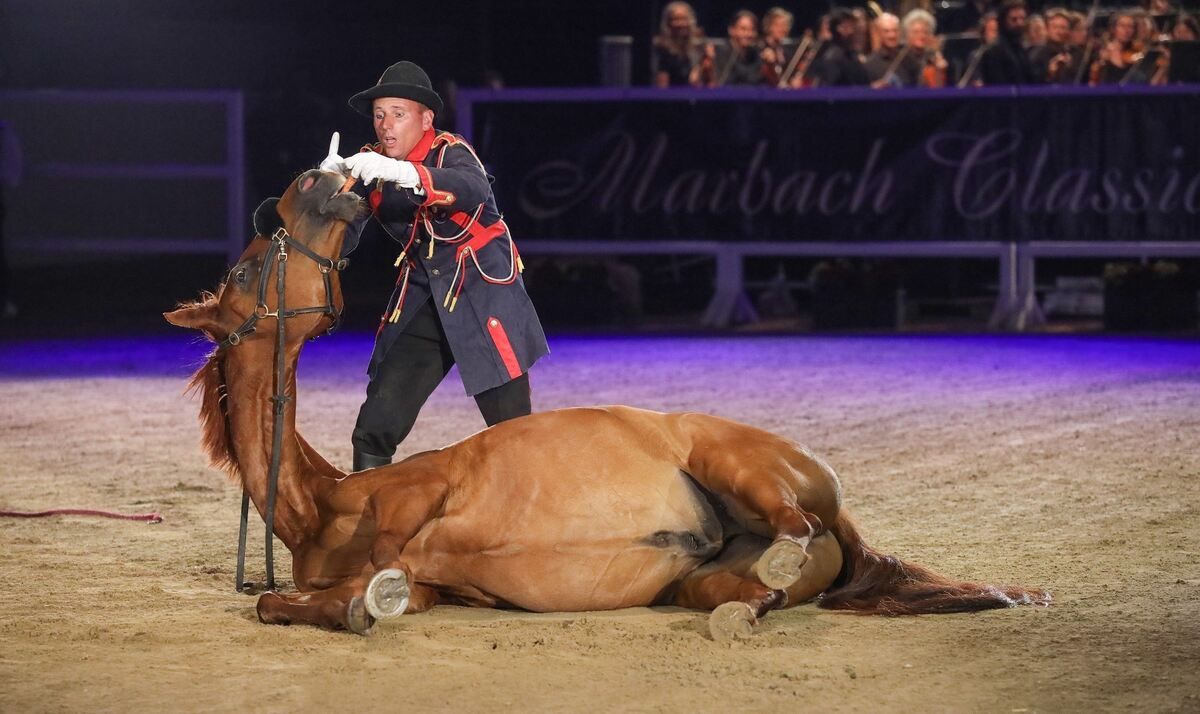 MarbachClassics20 (Groß)