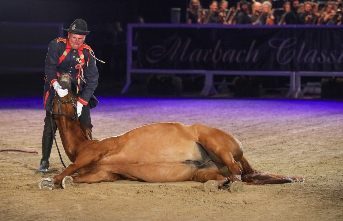 MarbachClassics21 (Groß)