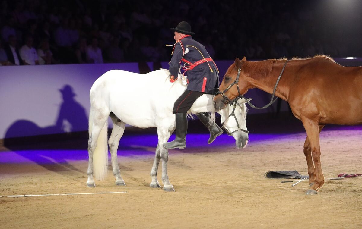 MarbachClassics24 (Groß)