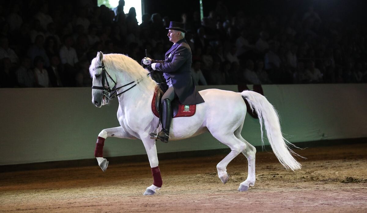 MarbachClassics30 (Groß)