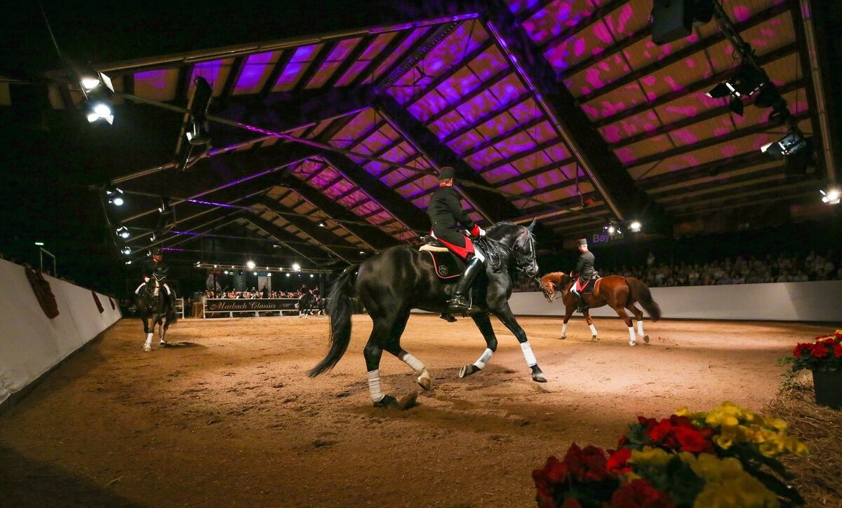 Marbach Classics 216 (Groß)