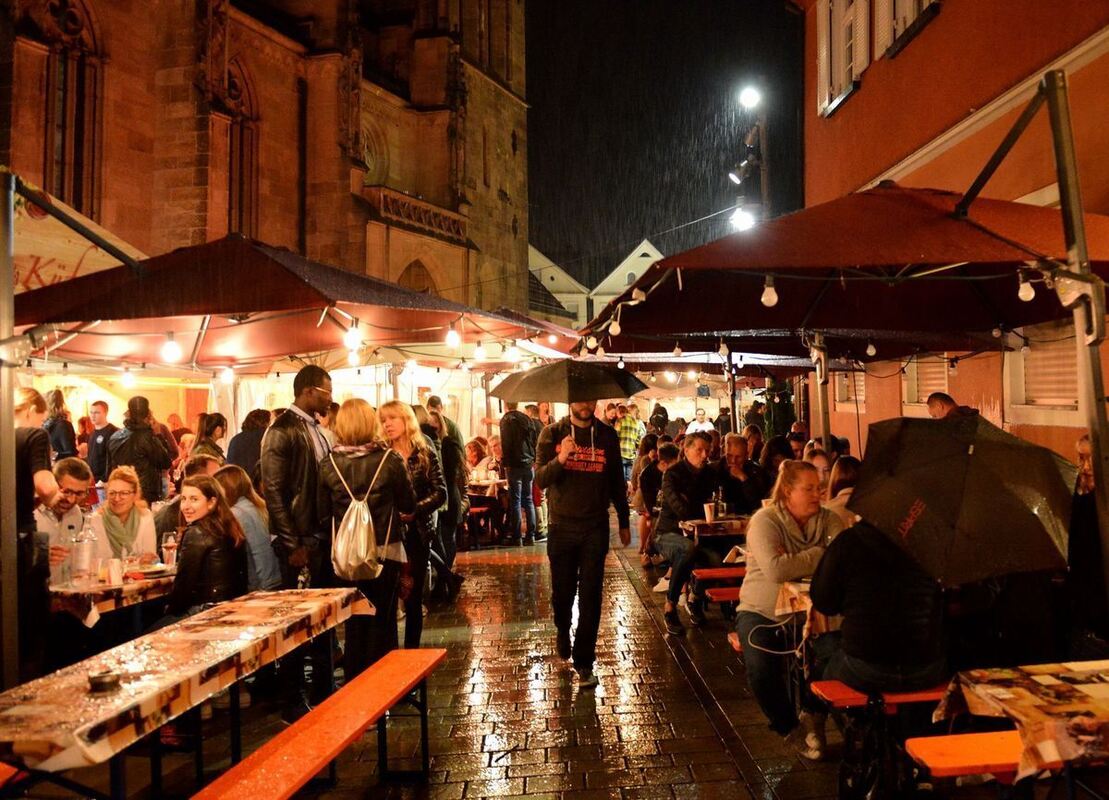 150Weindorf2019-Niethammer