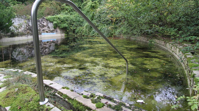 Eine Mischung aus Tristesse und Dschungel: Das Aquadrom ist 15 Jahre nach seiner Schließung außen vollkommen zugewuchert, innen