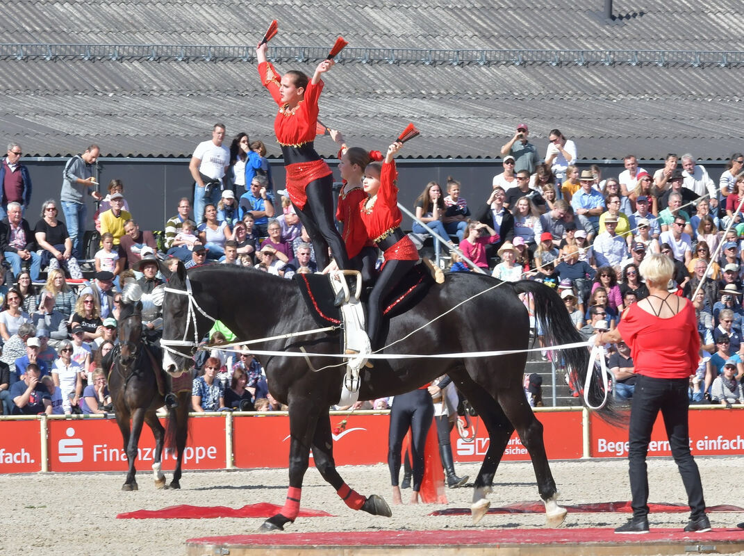 hengstparade_marbach_2019_meyer_33