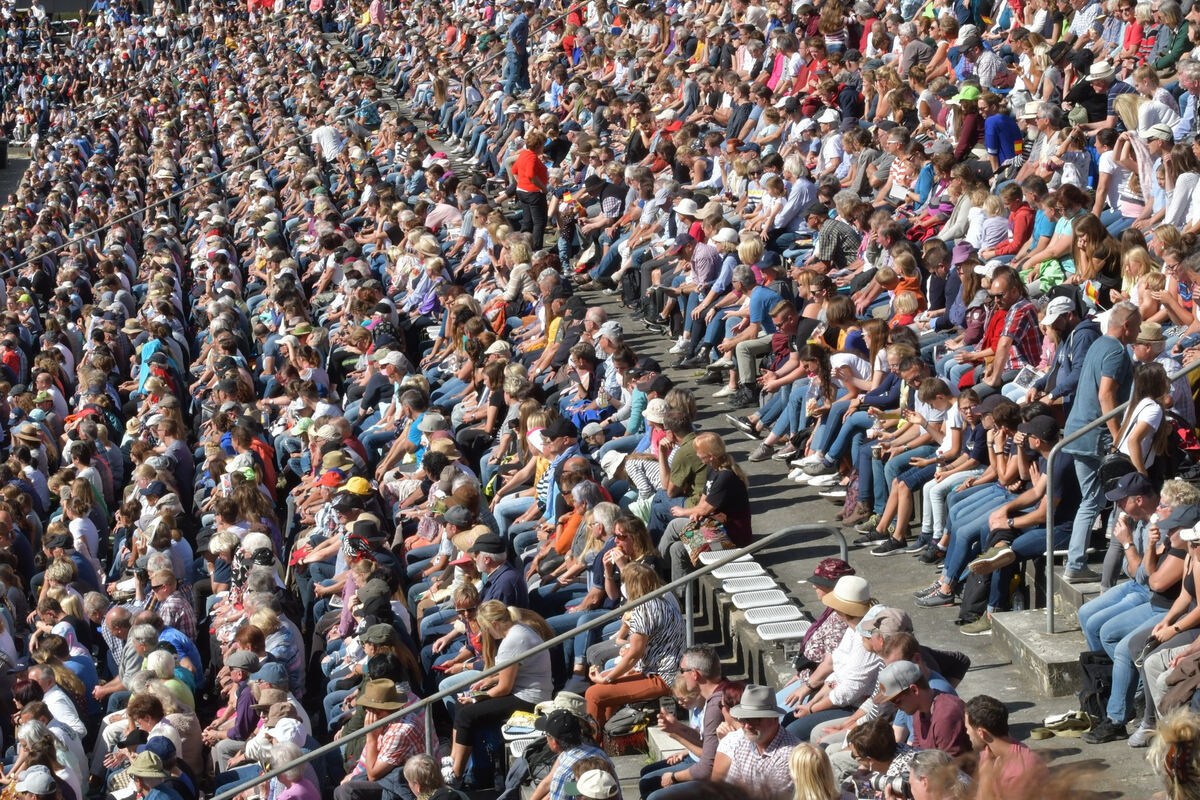 hengstparade_marbach_2019_meyer_38