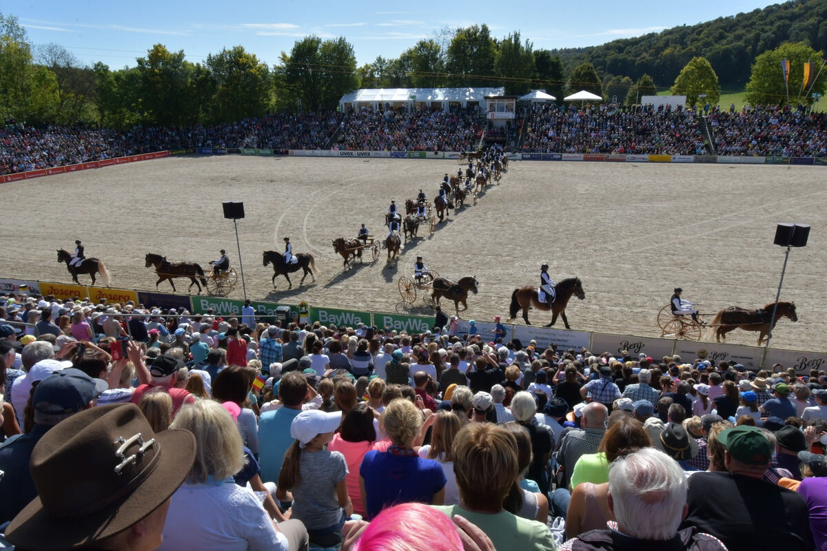 hengstparade_marbach_2019_meyer_41