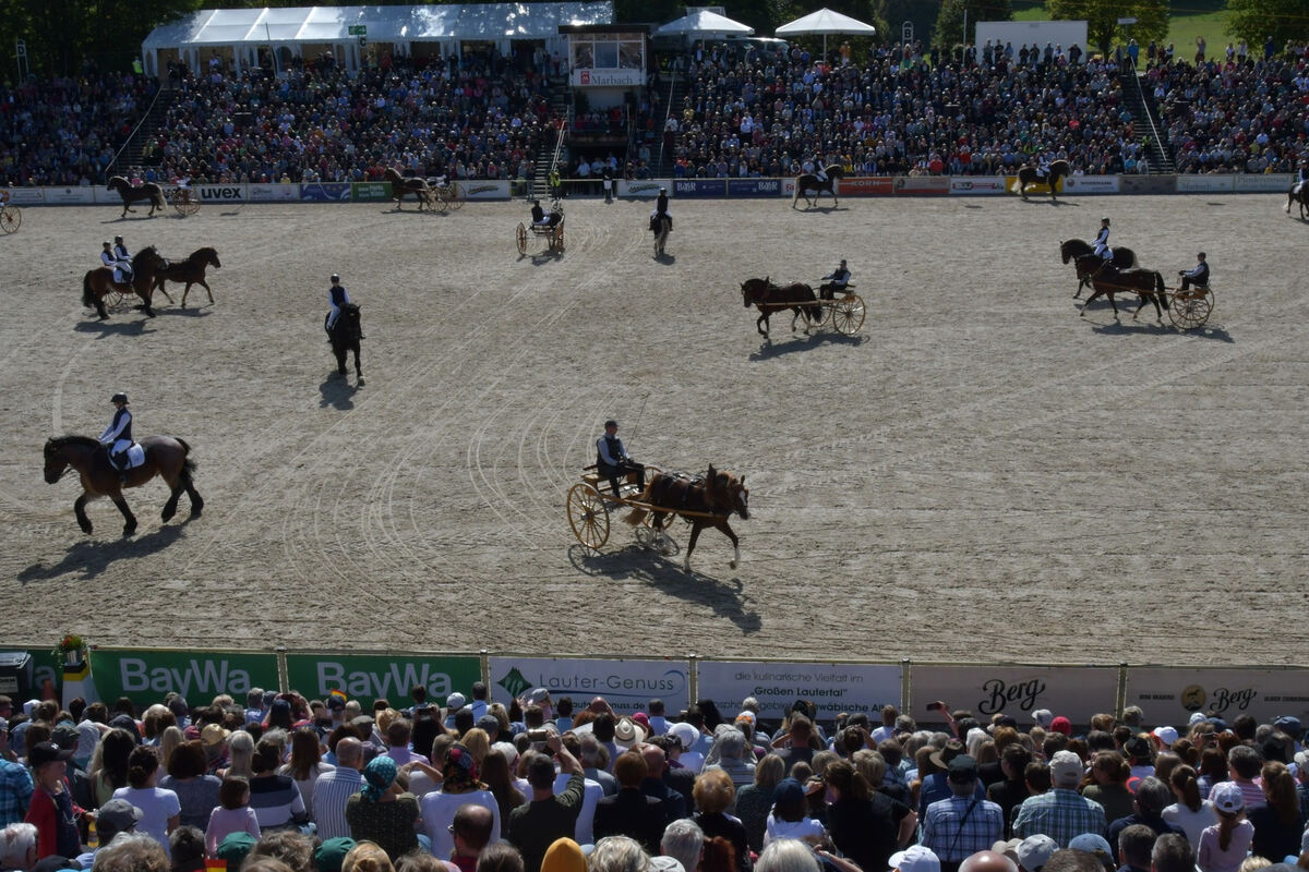 hengstparade_marbach_2019_meyer_42