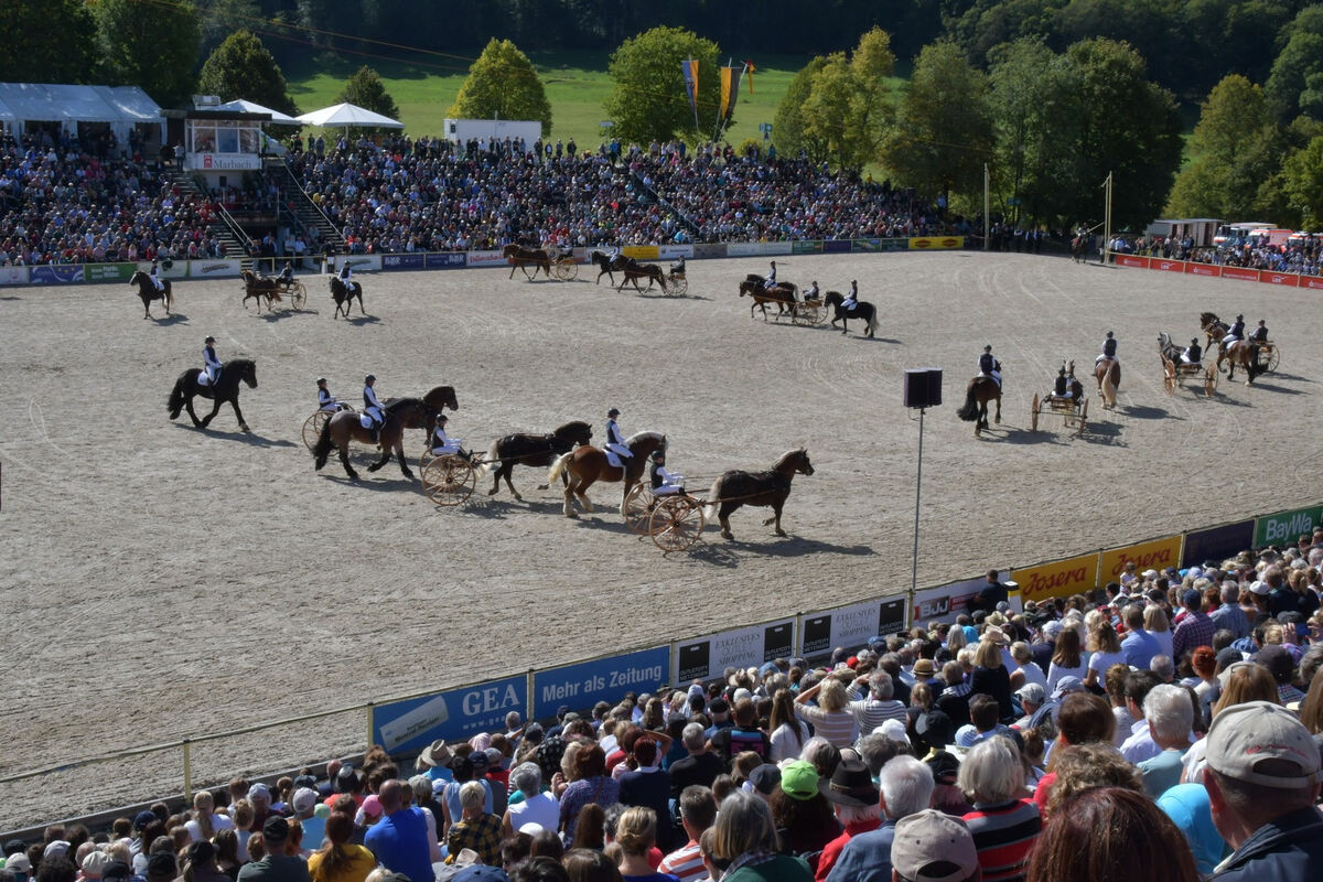 hengstparade_marbach_2019_meyer_43