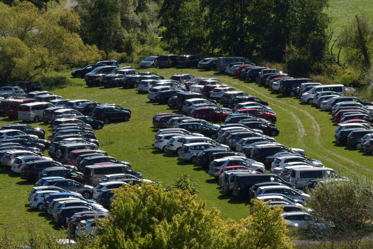 hengstparade_marbach_2019_meyer_48