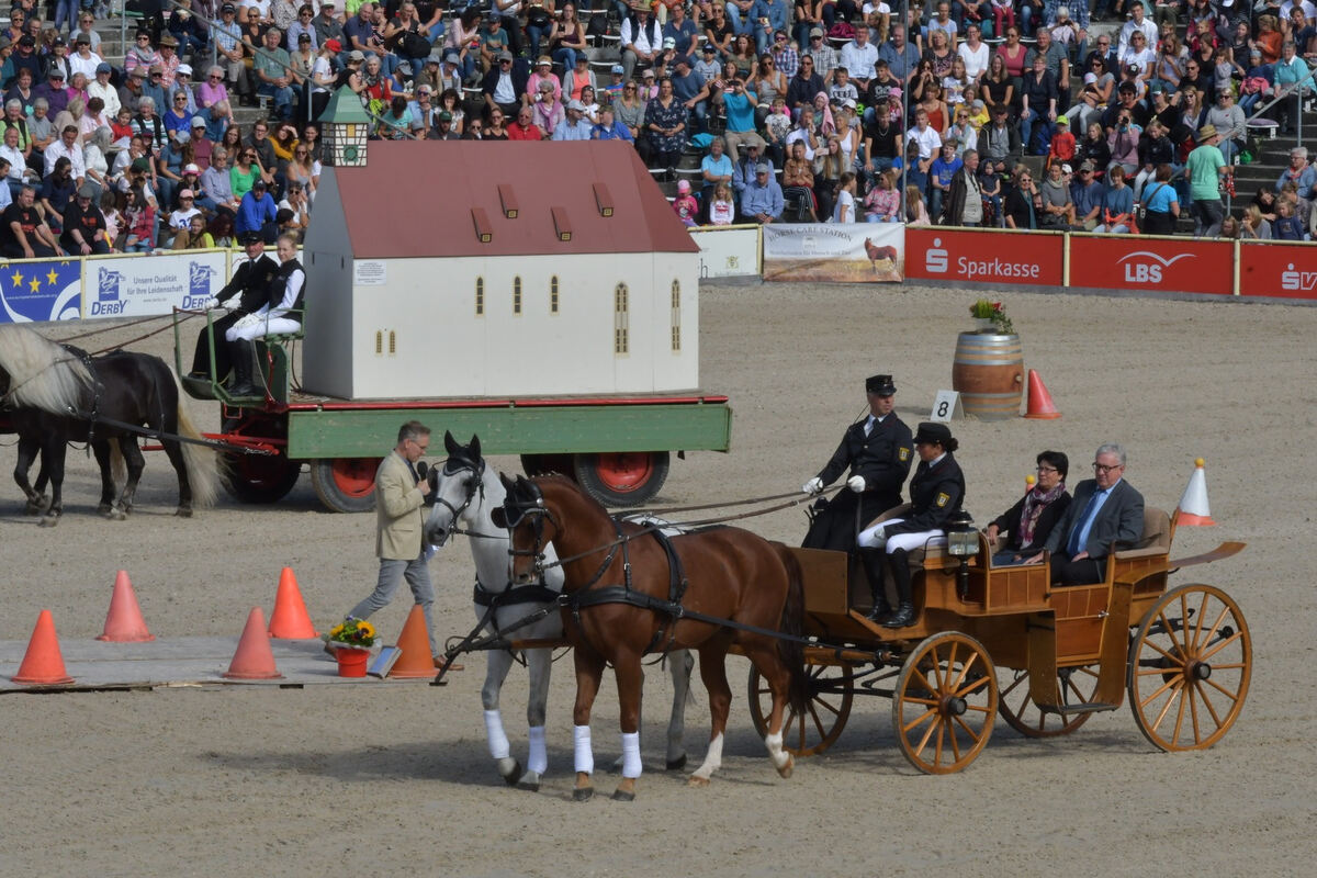 hengstparade_marbach_2019_meyer_3