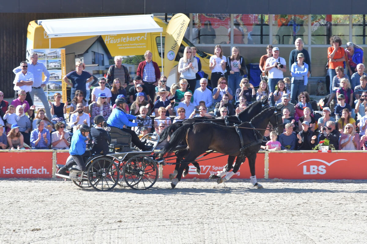hengstparade_marbach_2019_meyer_5