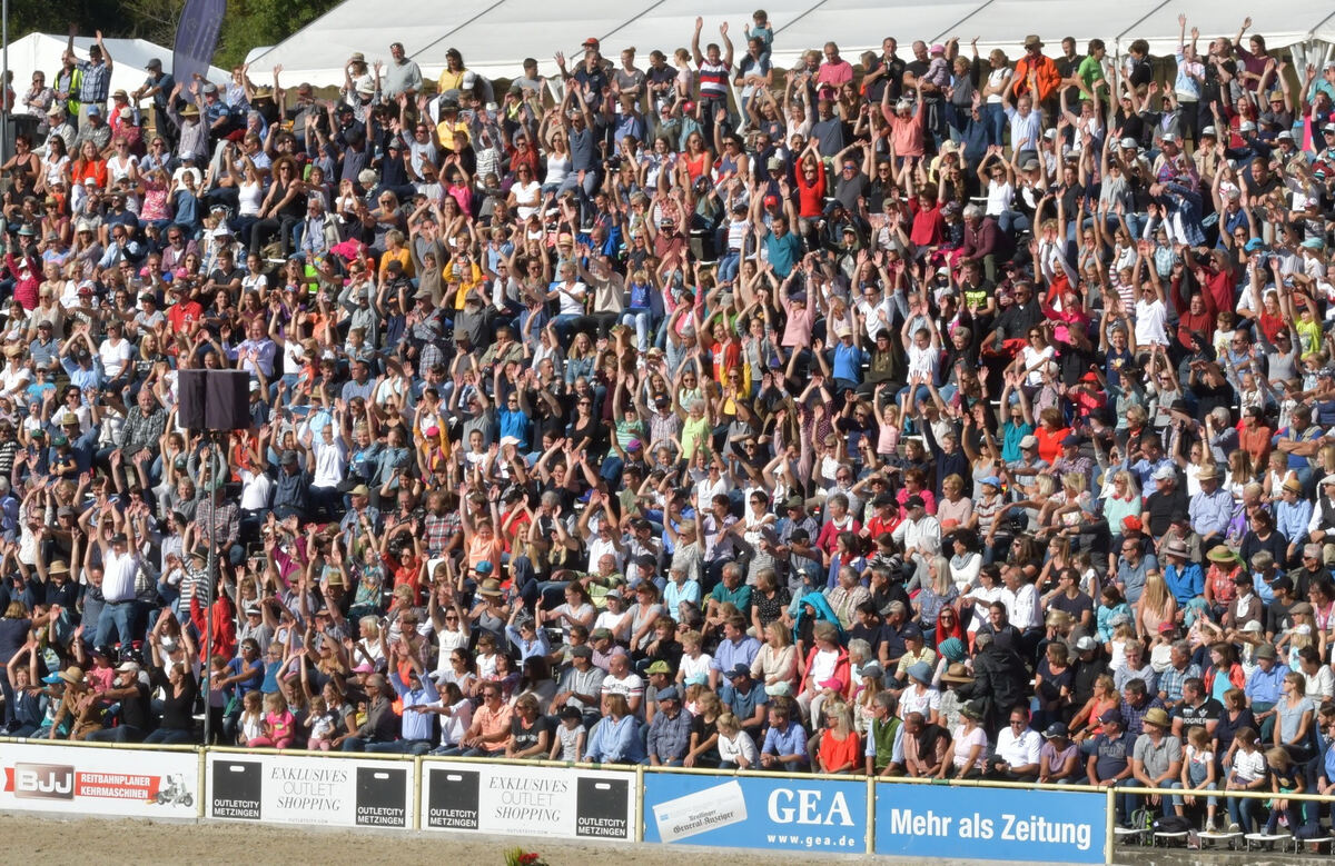 hengstparade_marbach_2019_meyer_7