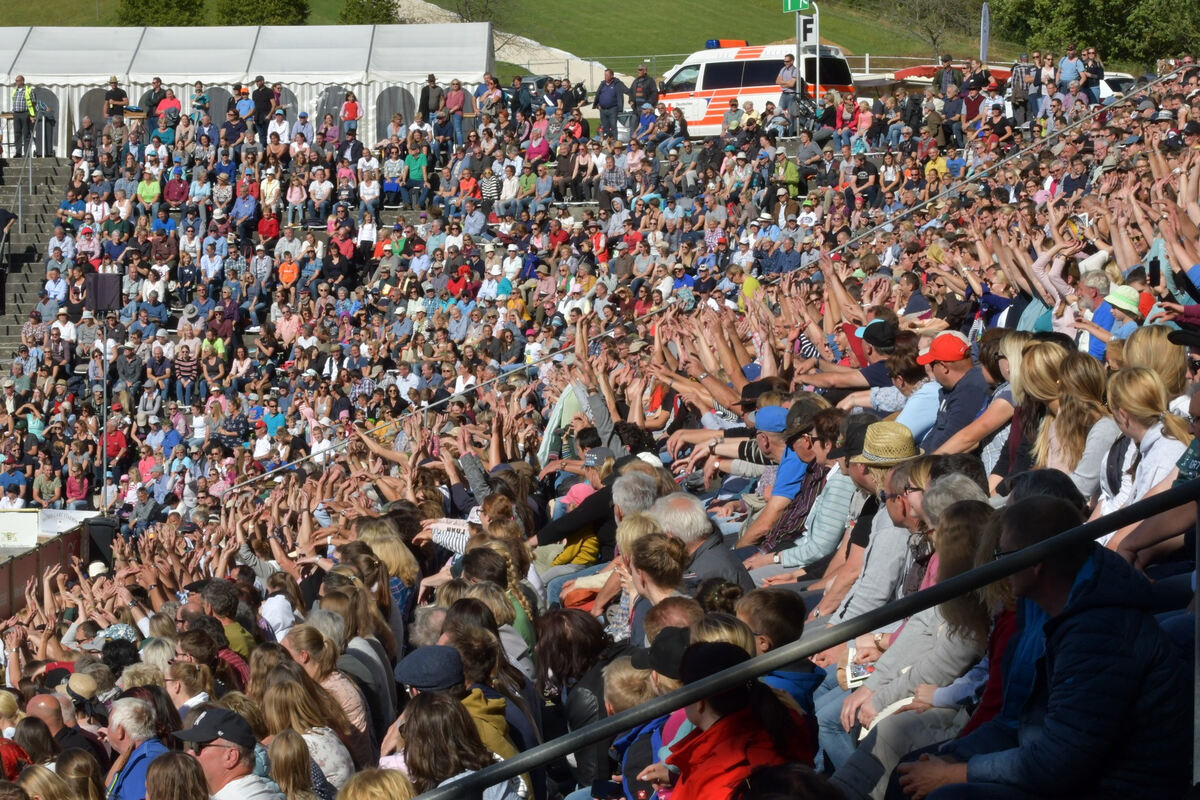 hengstparade_marbach_2019_meyer_8