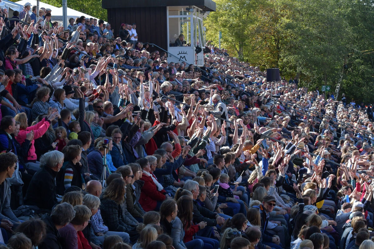 hengstparade_marbach_2019_meyer_9